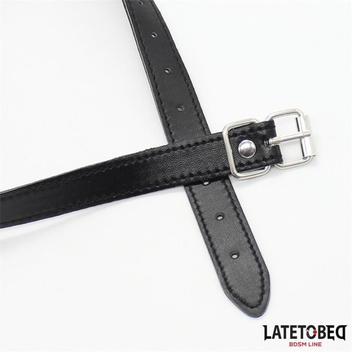 Hohler Hartball-Knebel von Latetobed BDSM Line | Fesselliebe.de