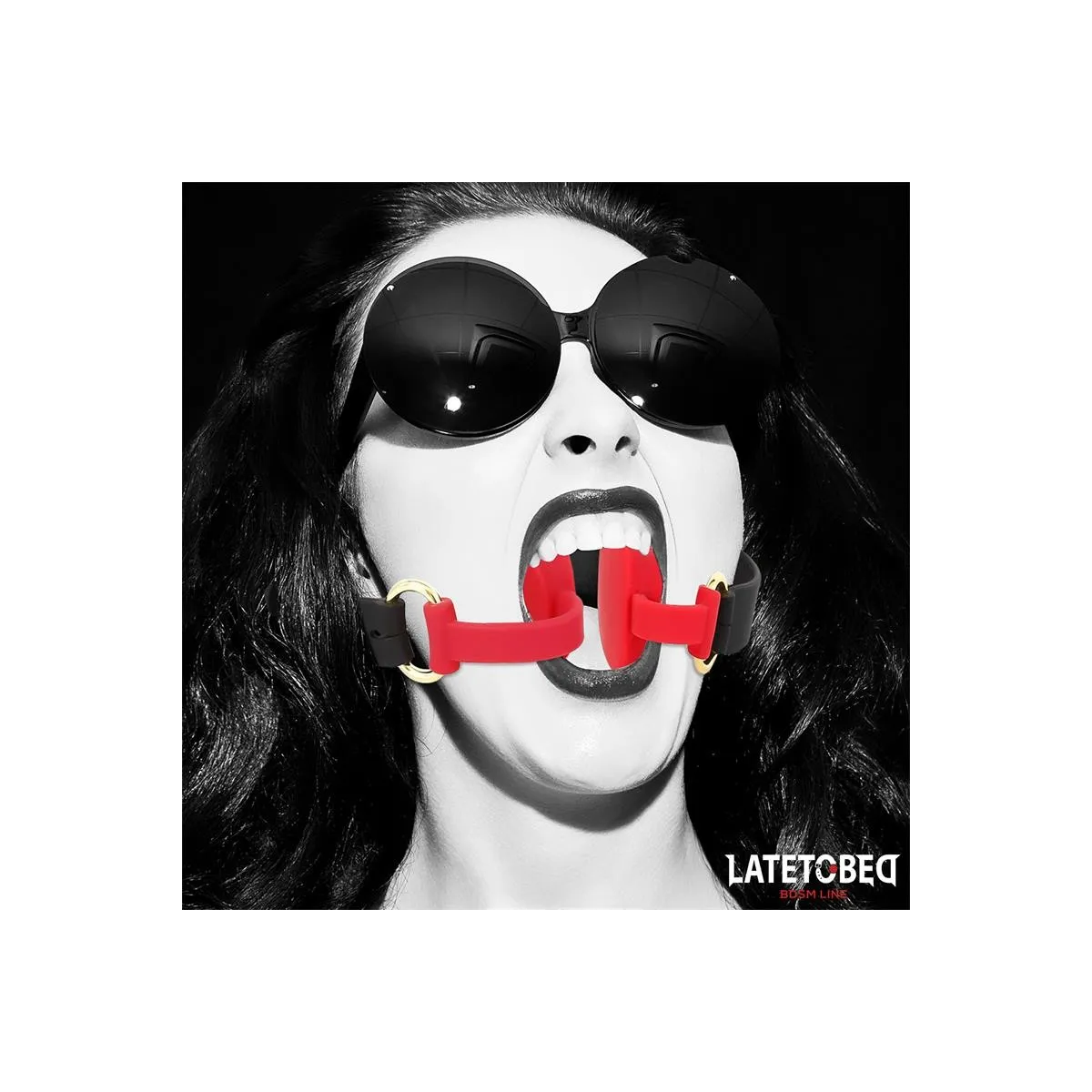 Doppelendiger Metallkarabinerhaken von Latetobed BDSM Line | Fesselliebe.de