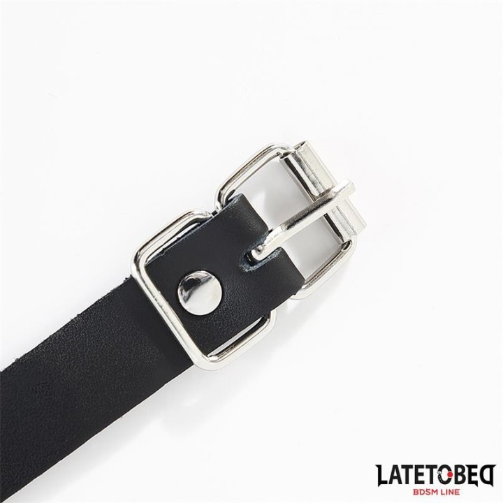 Schnallenverschluss Ring mit Leine von Latetobed BDSM Line | Fesselliebe.de