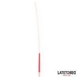 Rattan-Rohrstock, 60 cm von Latetobed BDSM Line | Fesselliebe.de