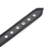 Halsband mit Reifen Schwarz von Latetobed BDSM Line | Fesselliebe.de