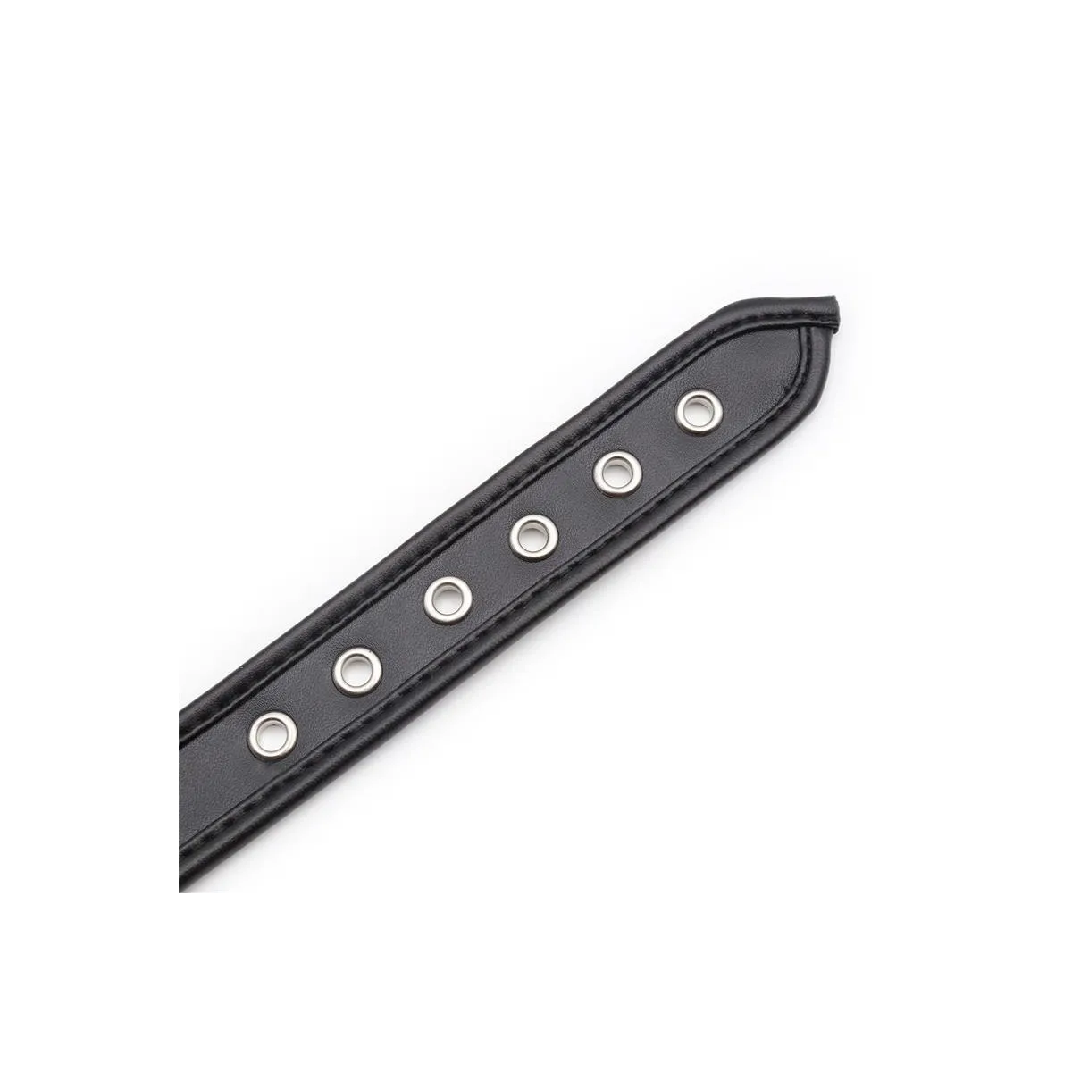 Halsband mit Reifen Schwarz von Latetobed BDSM Line | Fesselliebe.de