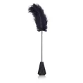 Feder-Kitzler und Paddel mit Spitze 2 In 1 56 cm Schwarz von Latetobed BDSM Line
