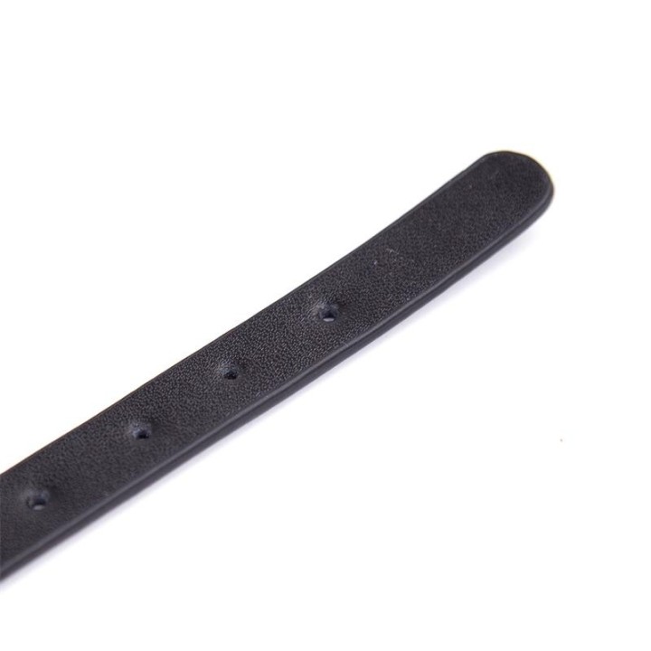Verstellbares Halsband, 43 cm, Schwarz von Latetobed BDSM Line | Fesselliebe.de