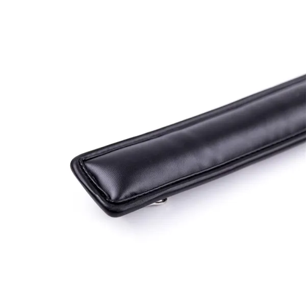 Halsband mit Metallleine und Gepolstertem Innenfutter Schwarz von Latetobed BDSM Line | Fesselliebe.de