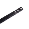 Halsband mit Verstellbarem Ring 38,2 cm Schwarz von Latetobed BDSM Line