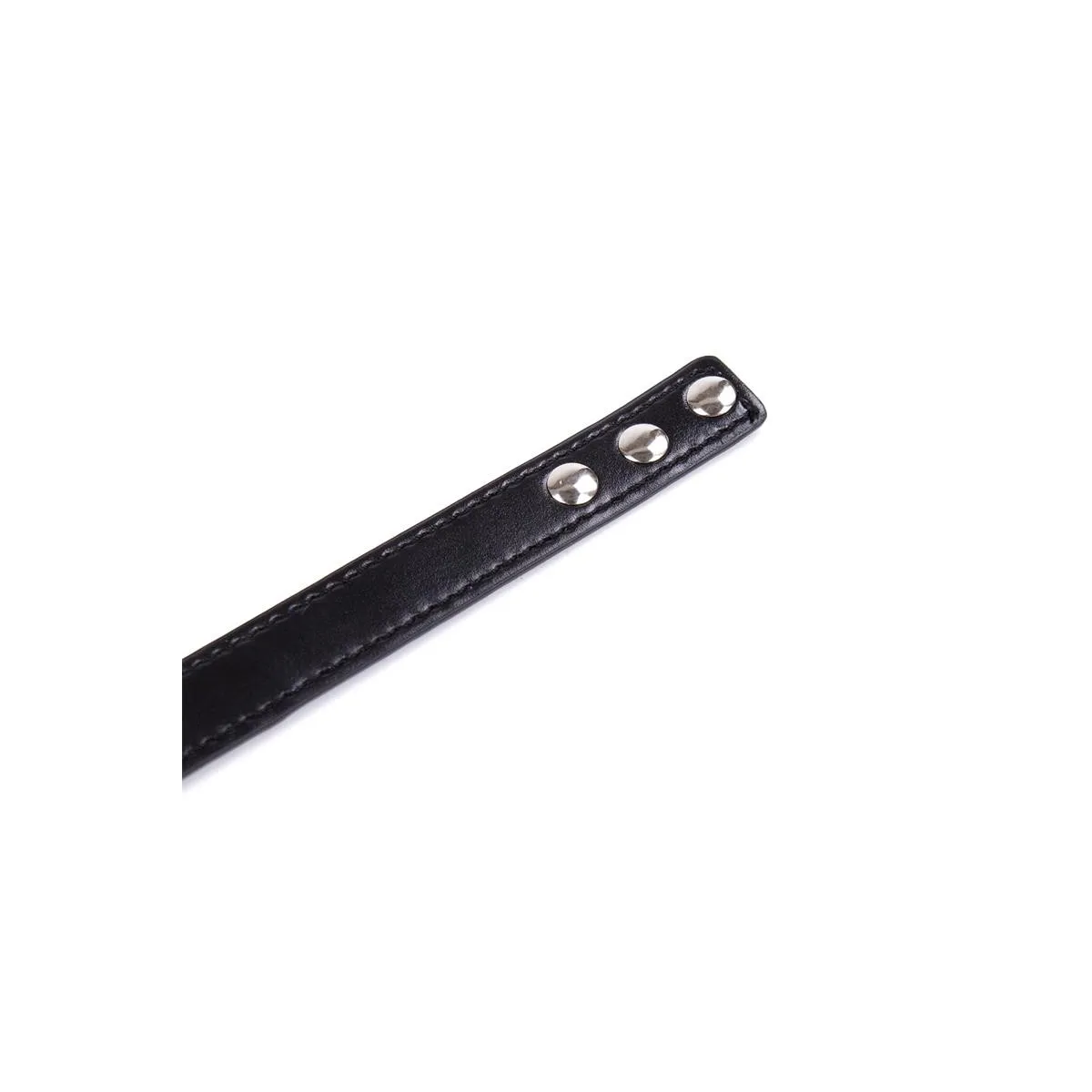 Halsband mit Verstellbarem Ring 38,2 cm Schwarz von Latetobed BDSM Line | Fesselliebe.de