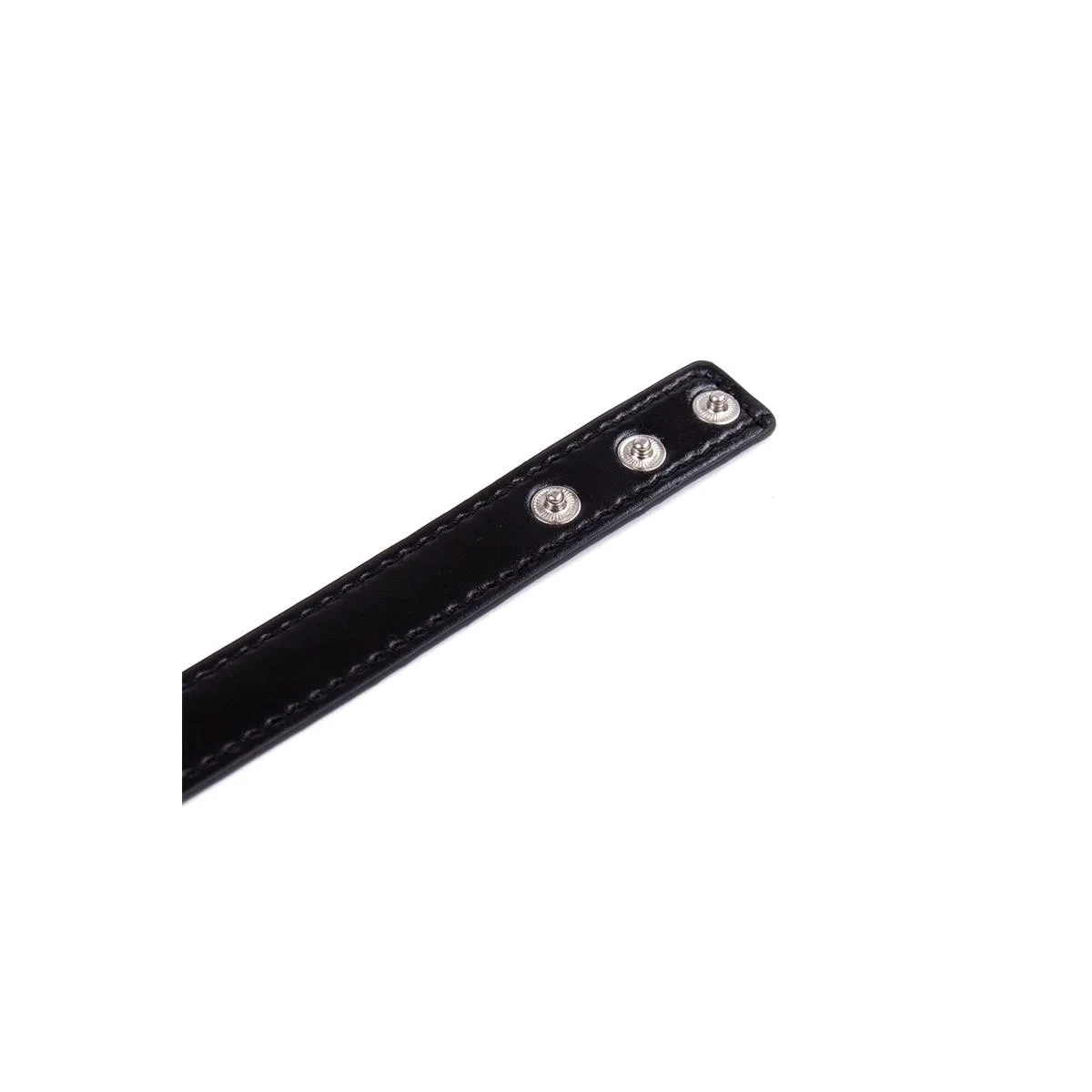 Halsband mit Verstellbarem Ring 38,2 cm Schwarz von Latetobed BDSM Line | Fesselliebe.de