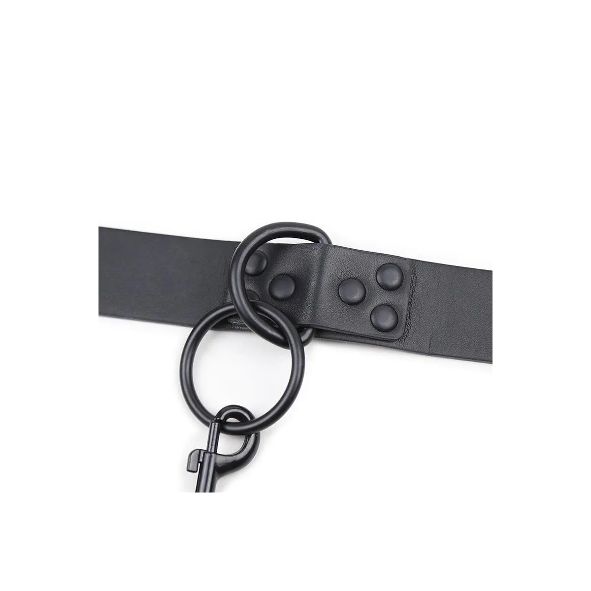 Halsband mit Leine, Schwarz von Latetobed BDSM Line | Fesselliebe.de