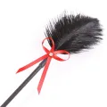 Federkitzler und Paddel, 36 cm, Rot/Schwarz von Latetobed BDSM Line