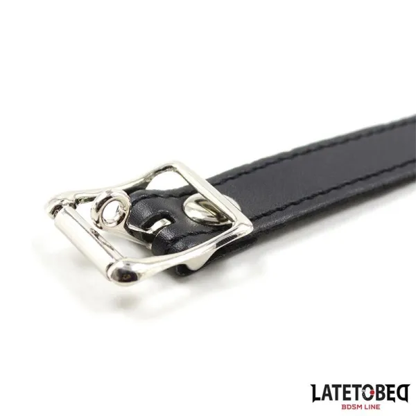 Silikon-Ballknebel, Rosa von Latetobed BDSM Line | Fesselliebe.de