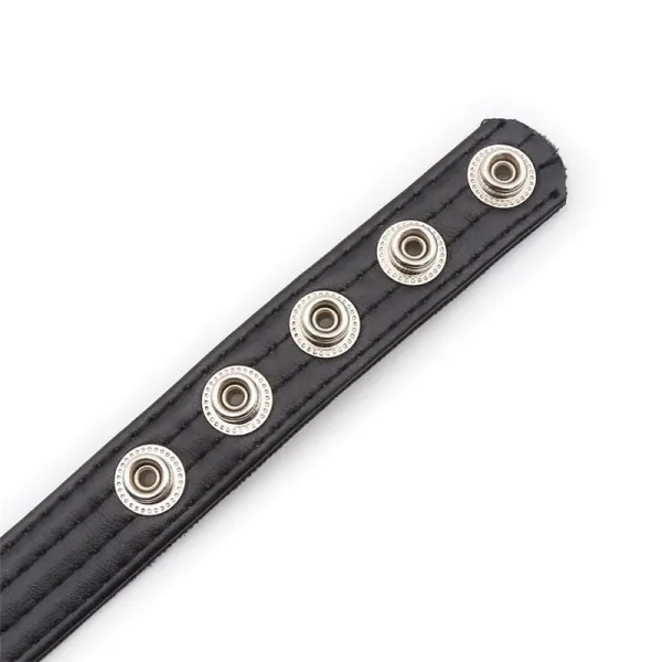 Verstellbarer Penisring 21 cm X 2 cm von Latetobed BDSM Line | Fesselliebe.de