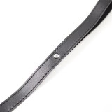 Leine 116 cm von Latetobed BDSM Line | Fesselliebe.de
