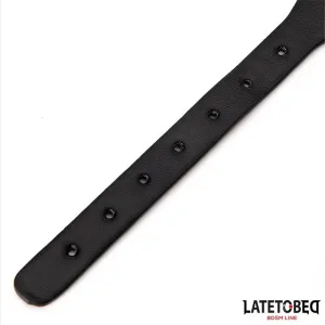 Halsband mit Glocke und Leine von Latetobed BDSM Line