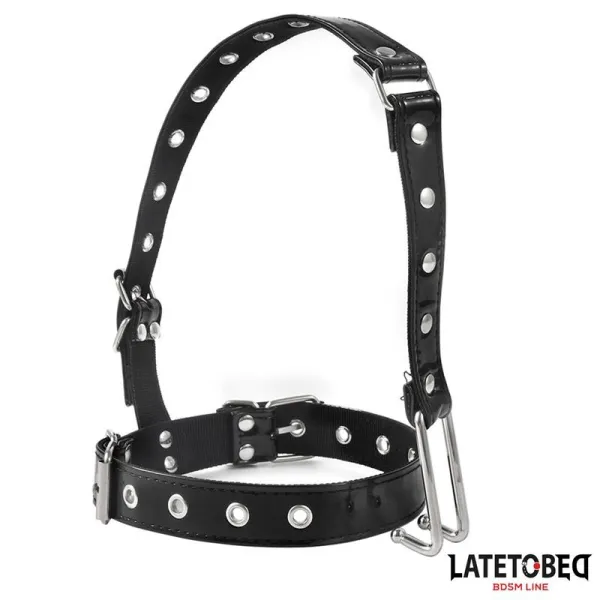 Halsband mit Nasenhaken von Latetobed BDSM Line | Fesselliebe.de