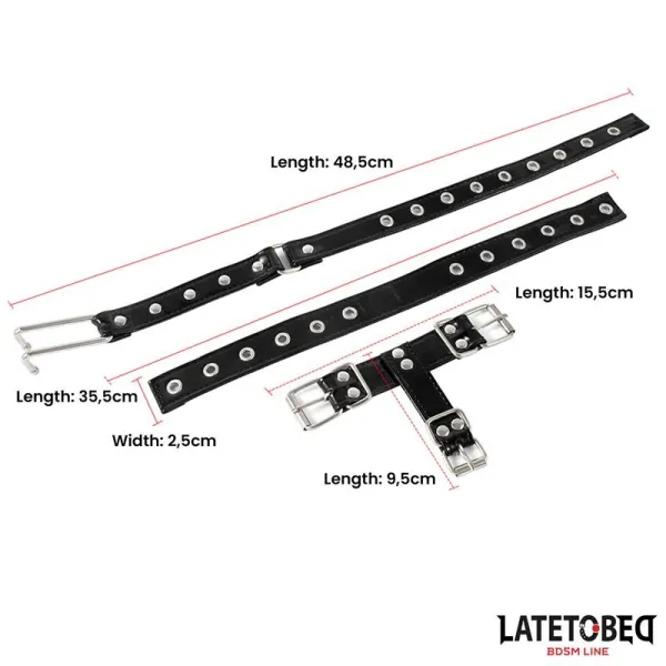Halsband mit Nasenhaken von Latetobed BDSM Line | Fesselliebe.de