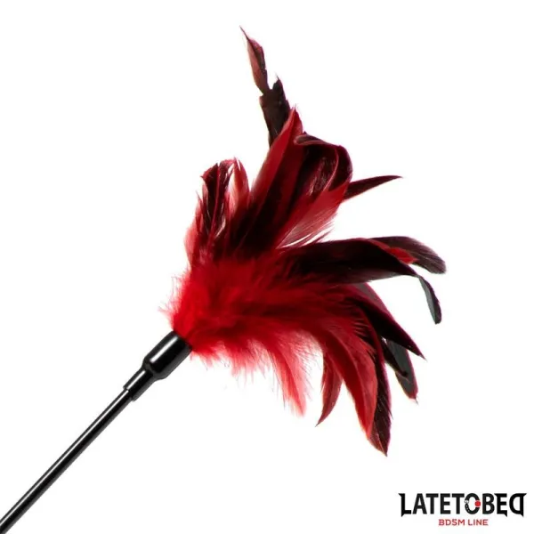 2-In-1-Paddel mit Feder von Latetobed BDSM Line | Fesselliebe.de