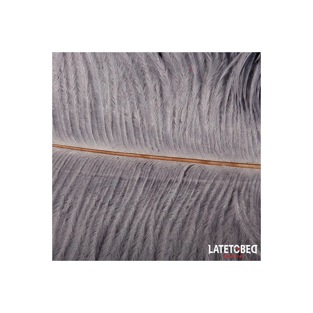 Straussenfeder 44 cm von Latetobed BDSM Line | Fesselliebe.de