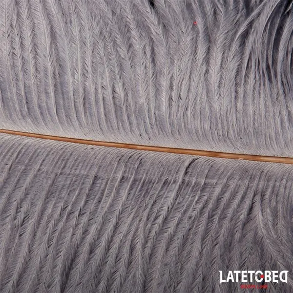 Straussenfeder 44 cm von Latetobed BDSM Line | Fesselliebe.de