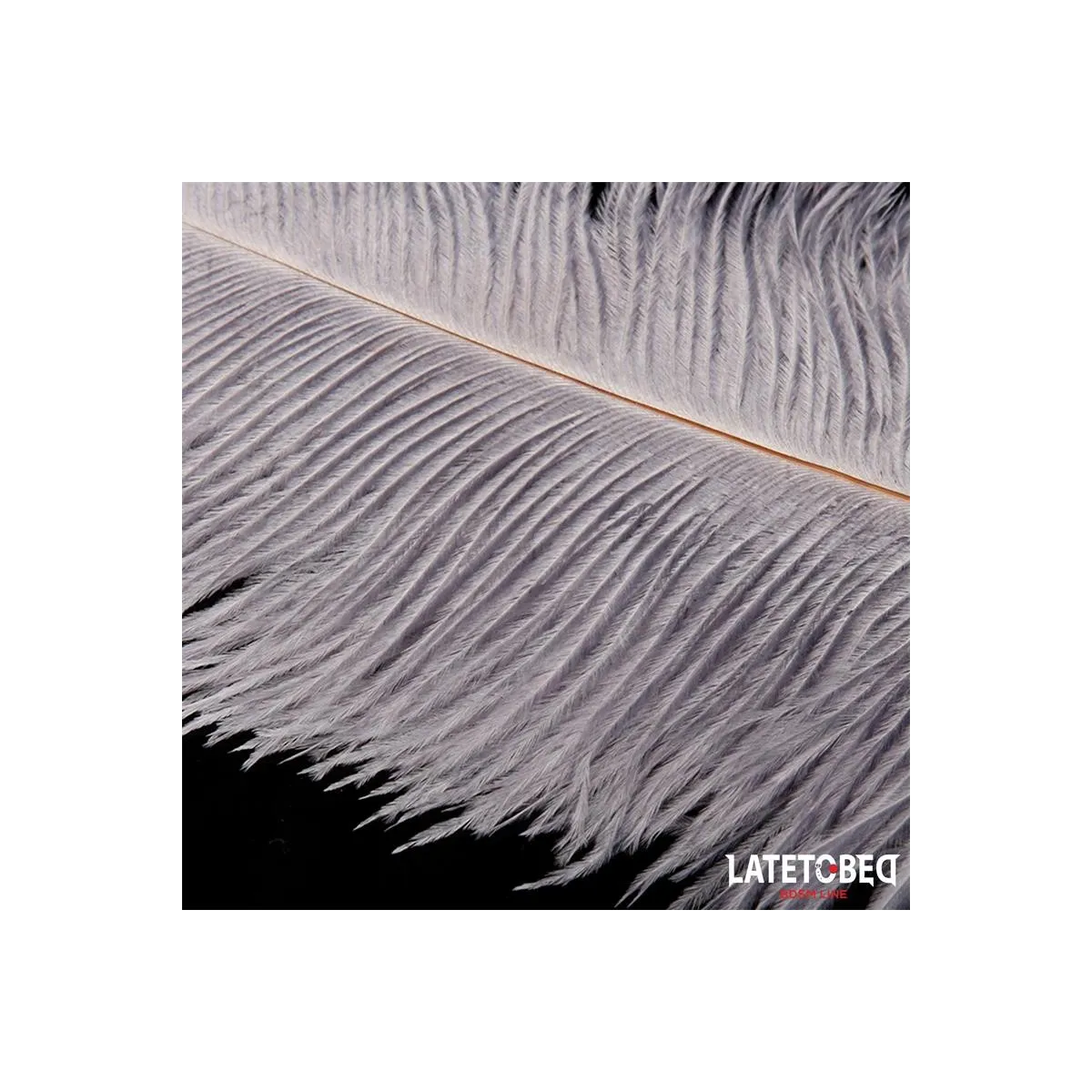 Straussenfeder 44 cm von Latetobed BDSM Line | Fesselliebe.de