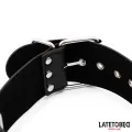 Hals- und Handfessel von Latetobed BDSM Line
