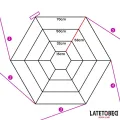 Spider Web Bed Bondage von Latetobed BDSM Line