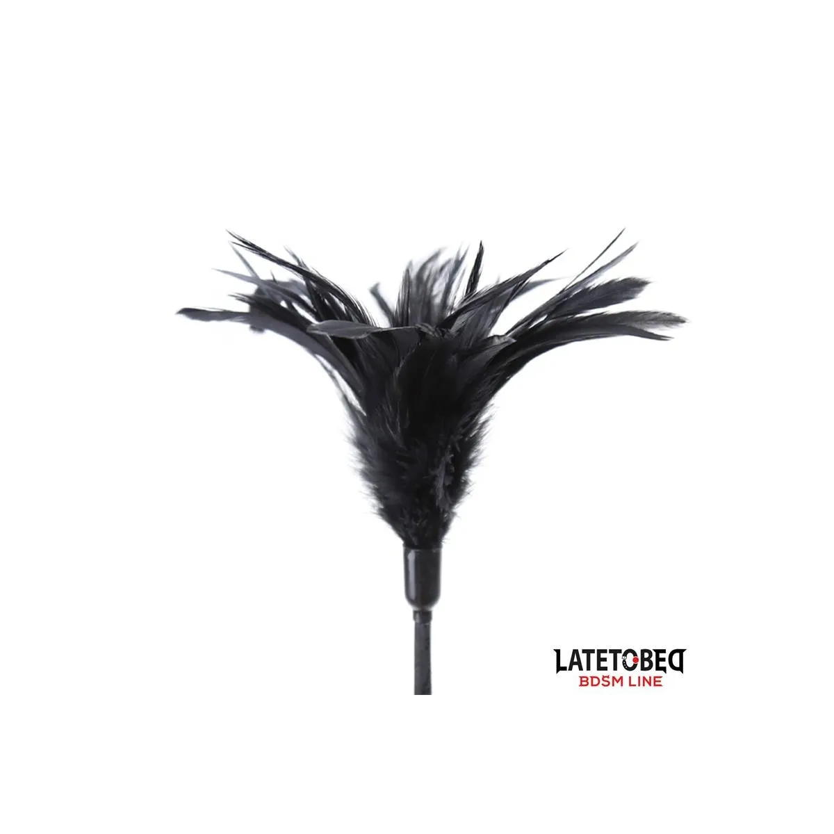 Kitzler mit Mehreren Federn und Spitzenband-Paddelkamm von Latetobed BDSM Line | Fesselliebe.de