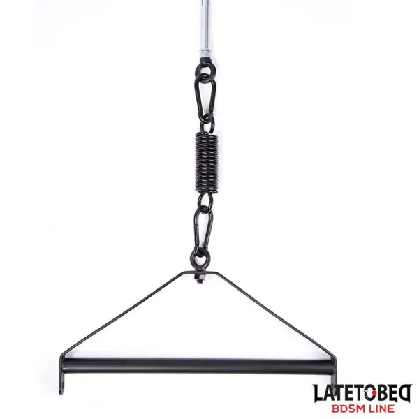 Decken-Schaukel von Latetobed BDSM Line | Fesselliebe.de