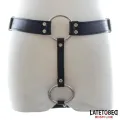 Keuschheitshose mit String, Verstellbar von Latetobed BDSM Line