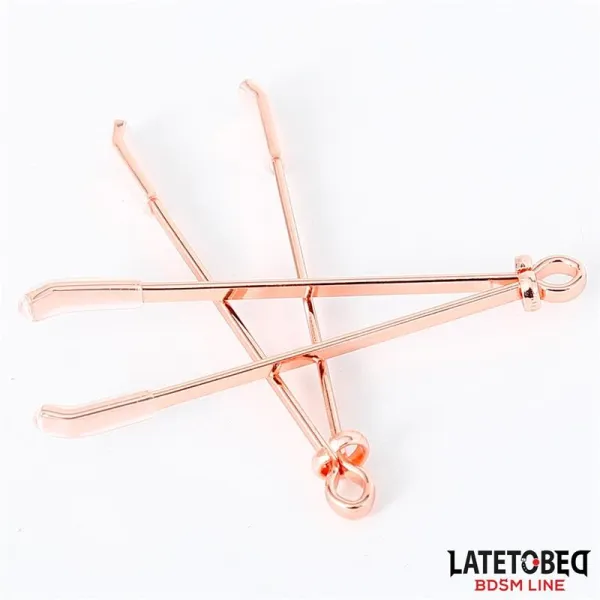 Nippelklemmen Farbe Roségold von Latetobed BDSM Line | Fesselliebe.de