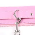 Halsband mit Leine Pastellrosa von Latetobed BDSM Line