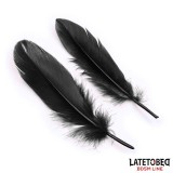 3-Teiliges Set Maske, Handschellen und Federn Schwarz von Latetobed BDSM Line | Fesselliebe.de