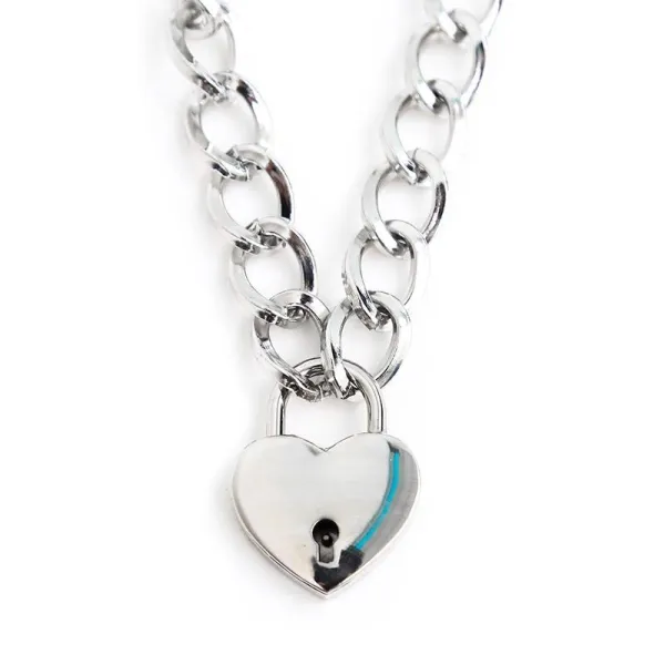 Halsband mit Schloss Metall Grösse M 44 cm von Latetobed BDSM Line | Fesselliebe.de