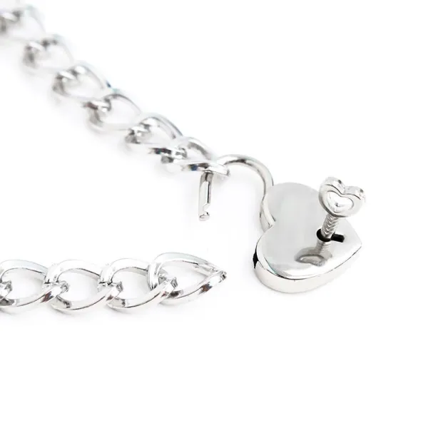 Halsband mit Schloss Metall Grösse M 44 cm von Latetobed BDSM Line | Fesselliebe.de