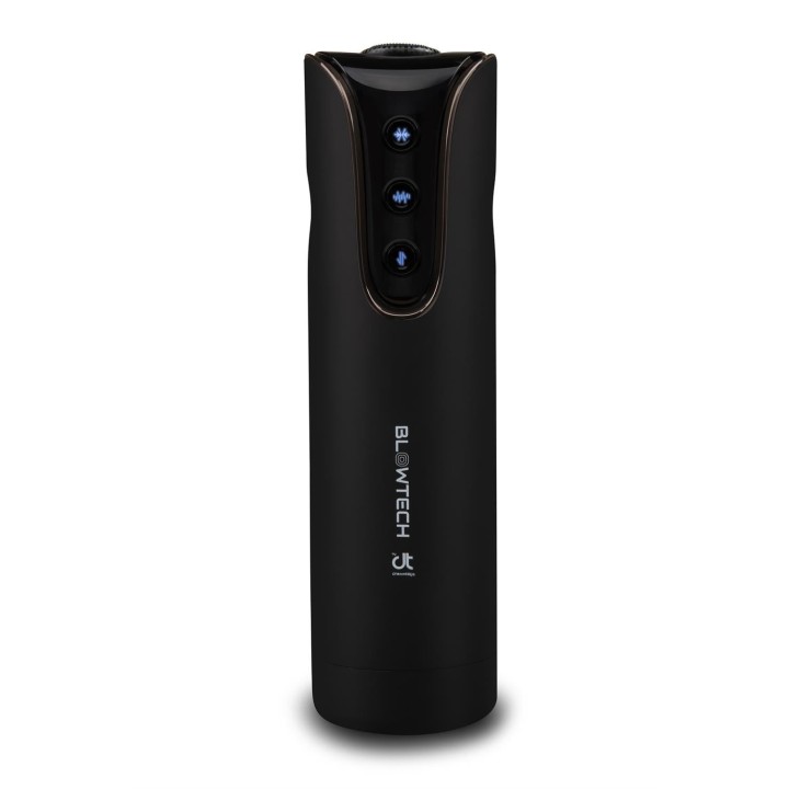 Blowtech Streichelmaschine mit Festem Griff von Dreamtoys | Fesselliebe.de