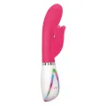 Disco Bunny von Evolved