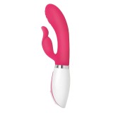 Disco Bunny von Evolved | Fesselliebe.de