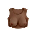 undergarments - Plate D-Cup Dark