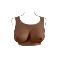 undergarments - Plate D-Cup Dark