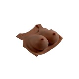 undergarments - Plate E-Cup Dark | Fesselliebe.de