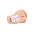 Pipedream PDX Elite Back That Ass Up Automatischer Mega-Masturbator mit Licht