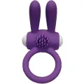 Mr Bunny Vibratorring Silikon Lila von Armony For Him