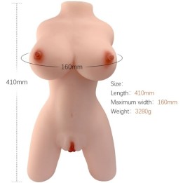 Realistisches weibliches Torsomodell 4 von Armony For Him | Fesselliebe.de