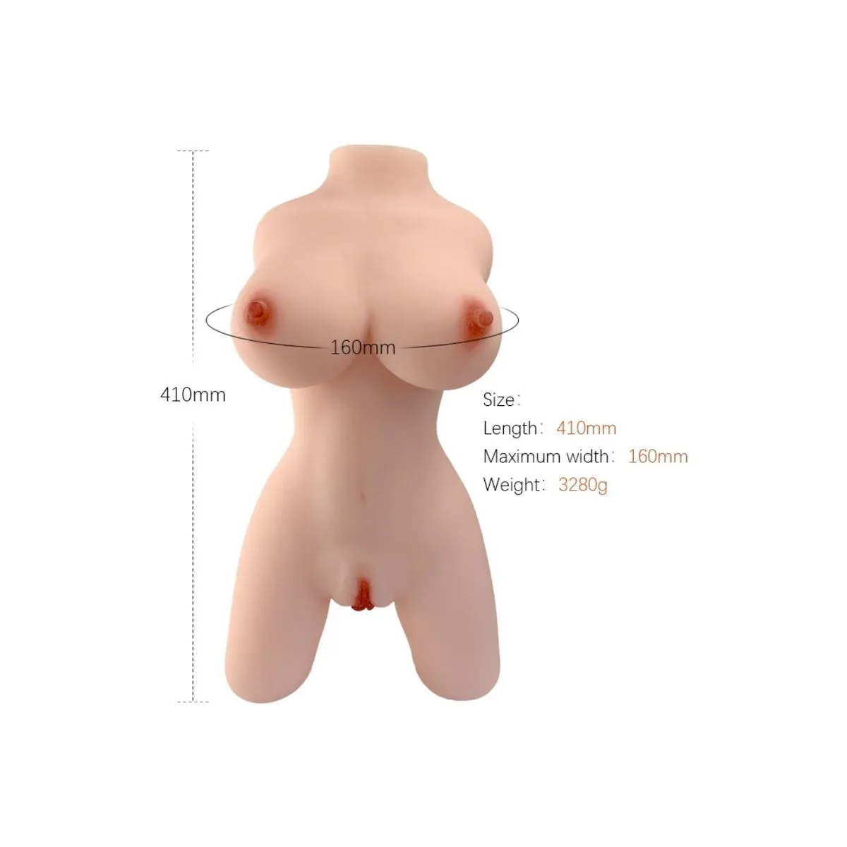 Realistisches weibliches Torsomodell 4 von Armony For Him | Fesselliebe.de