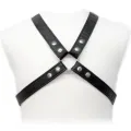 Lasic Harness In Gewand von Leather Body