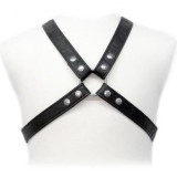 Lasic Harness In Gewand von Leather Body | Fesselliebe.de