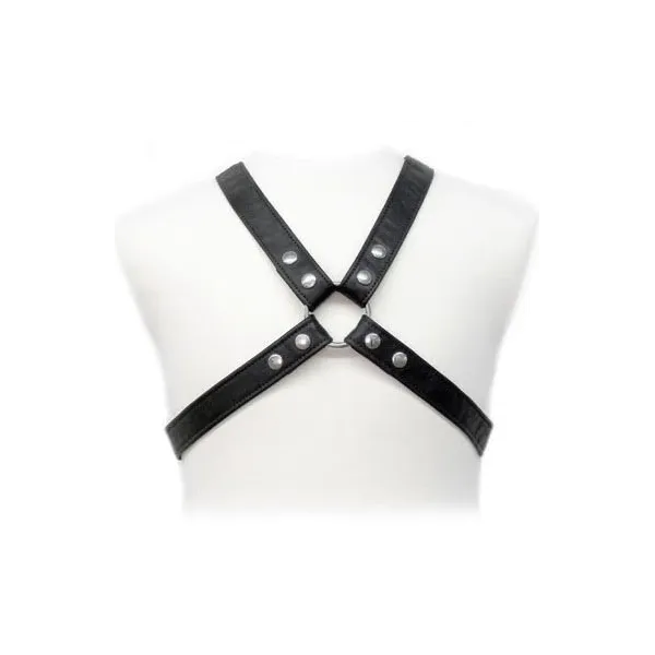 Lasic Harness In Gewand von Leather Body | Fesselliebe.de