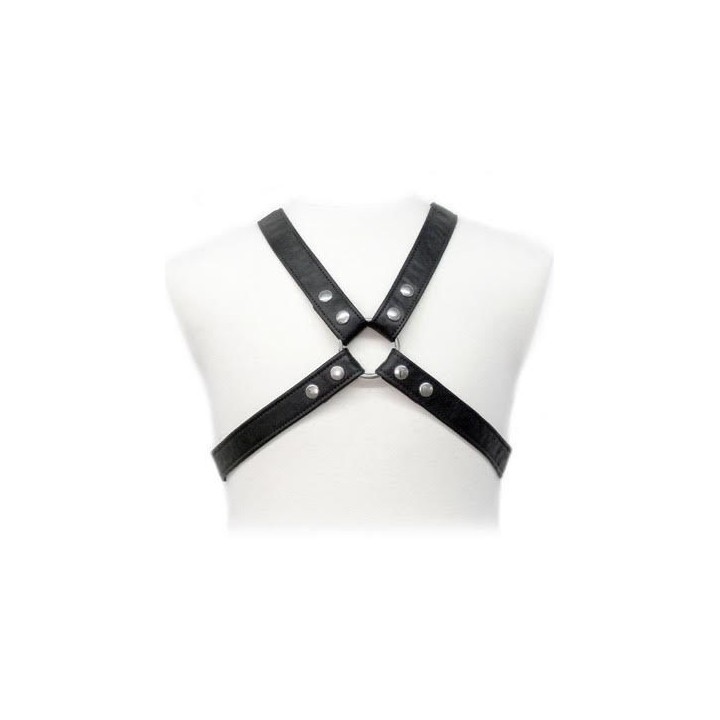 Lasic Harness In Gewand von Leather Body | Fesselliebe.de