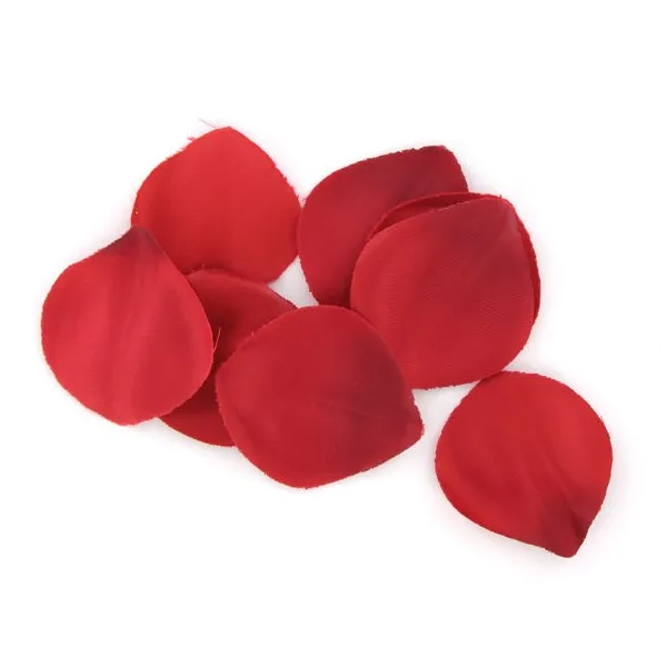 Rote Versuchungstruhe von Extase Sensual | Fesselliebe.de