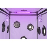 Kink Club Cabin Scandale Lila von Secret Dome | Fesselliebe.de